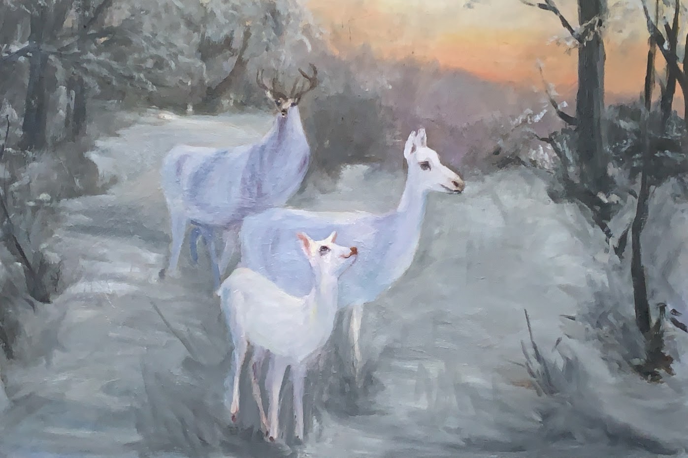 White Deer  - Oil Painting - 36"wide x24" tall, on a  stretched canvas, It is ready to hang.
