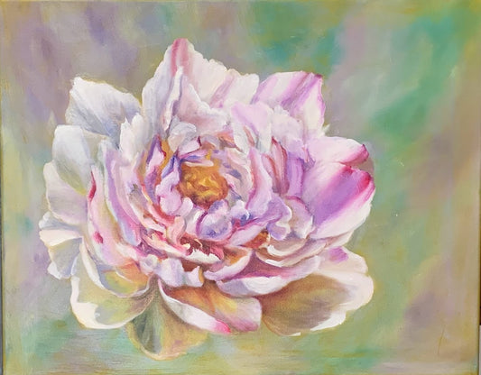 Pink Peony - Oil Painting - 20"x16"